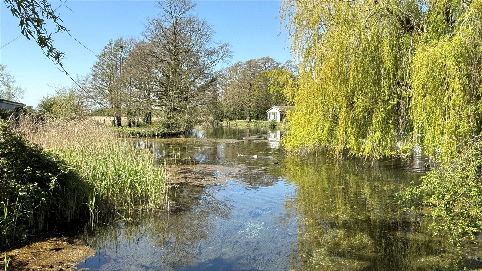 Nearby Village Pond
