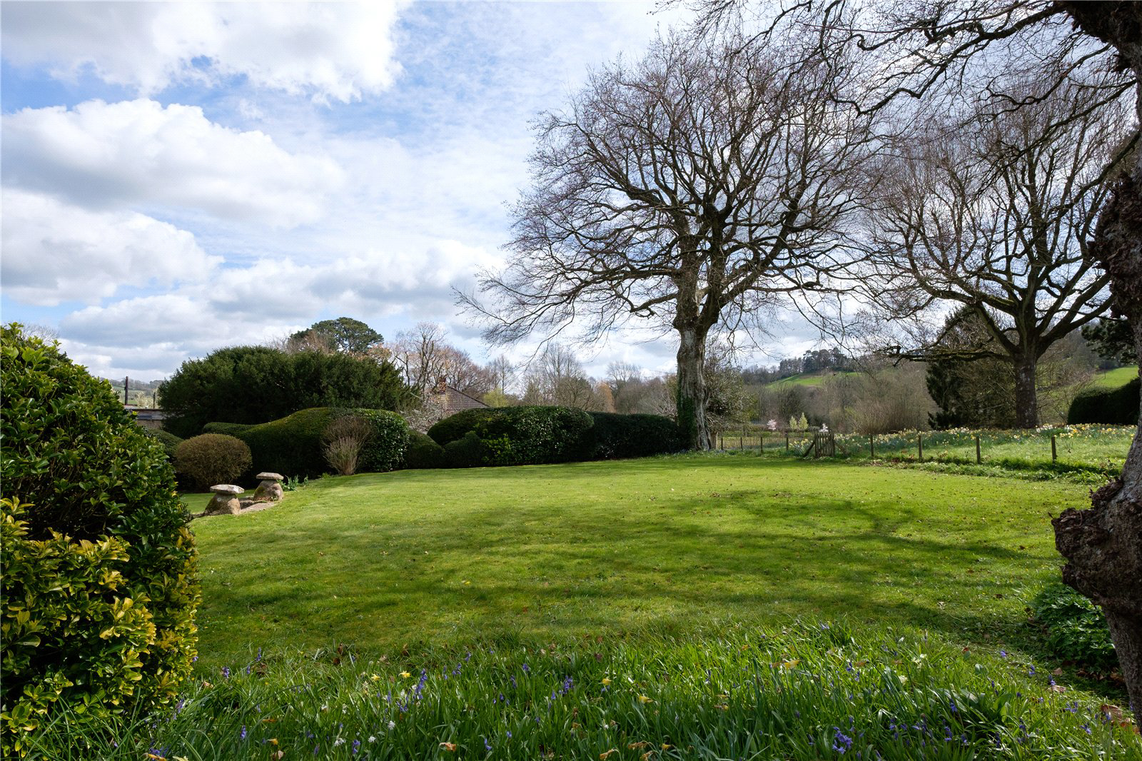 Whitcombe Road, Beaminster, Dorset, DT8, photo 52