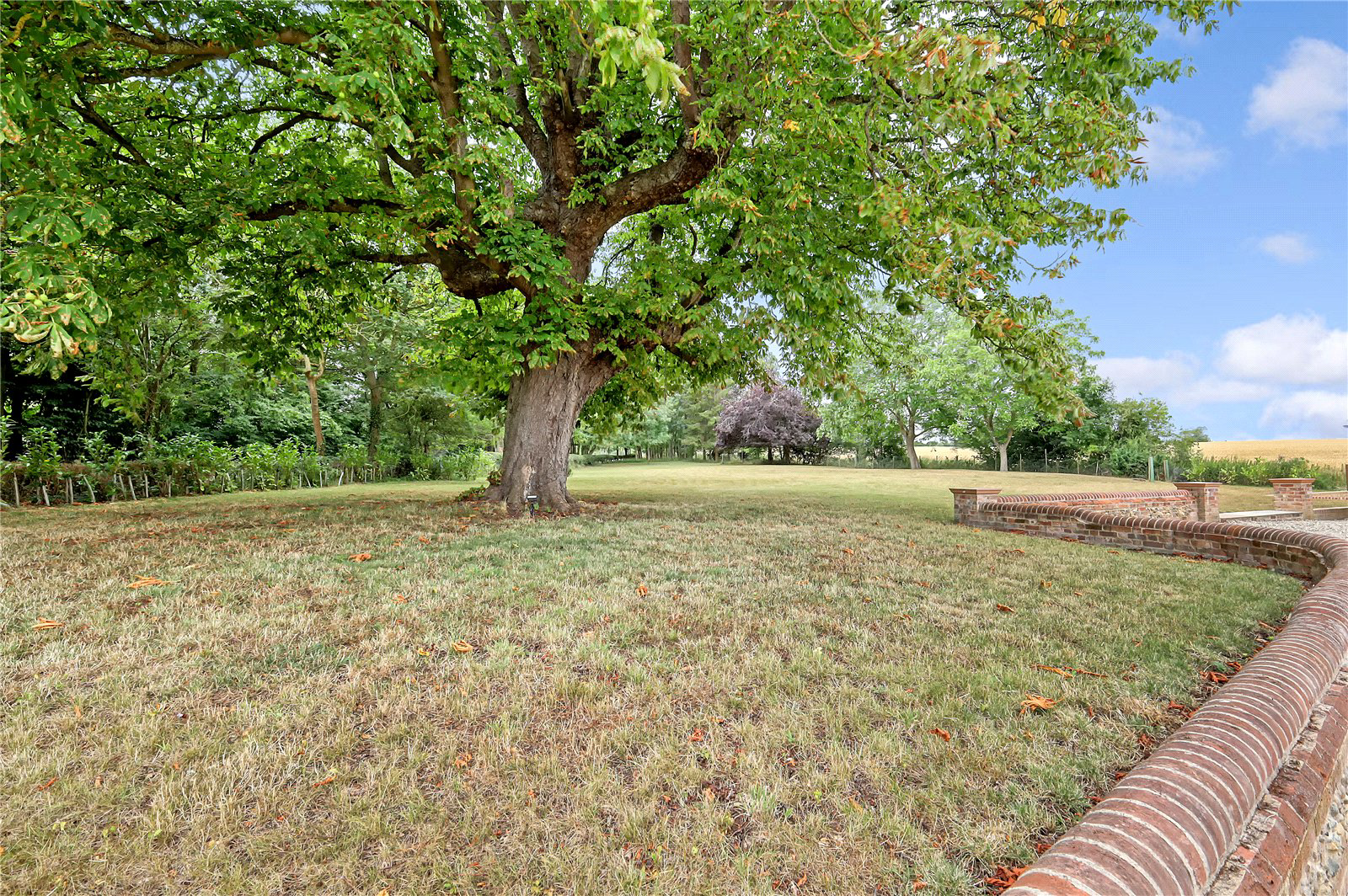 Braintree Road, Shalford, Braintree, Essex, CM7, photo 58