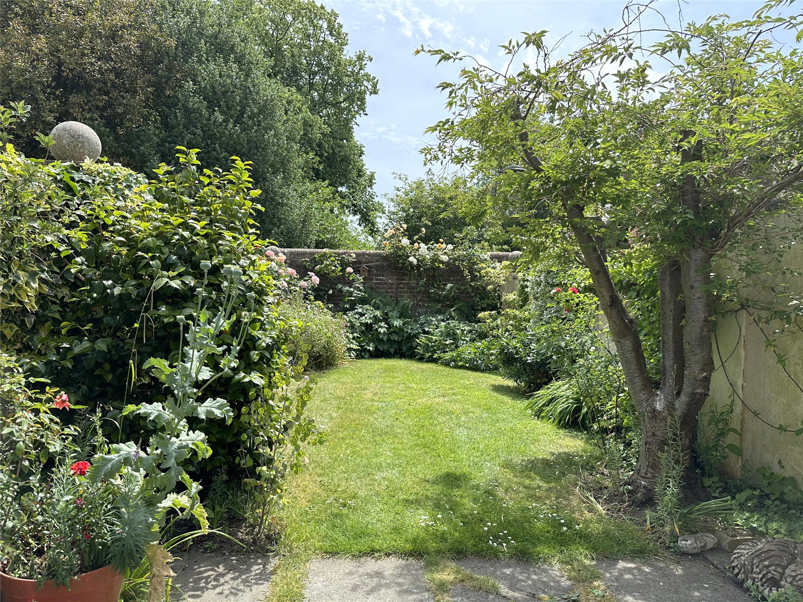 Photo 14