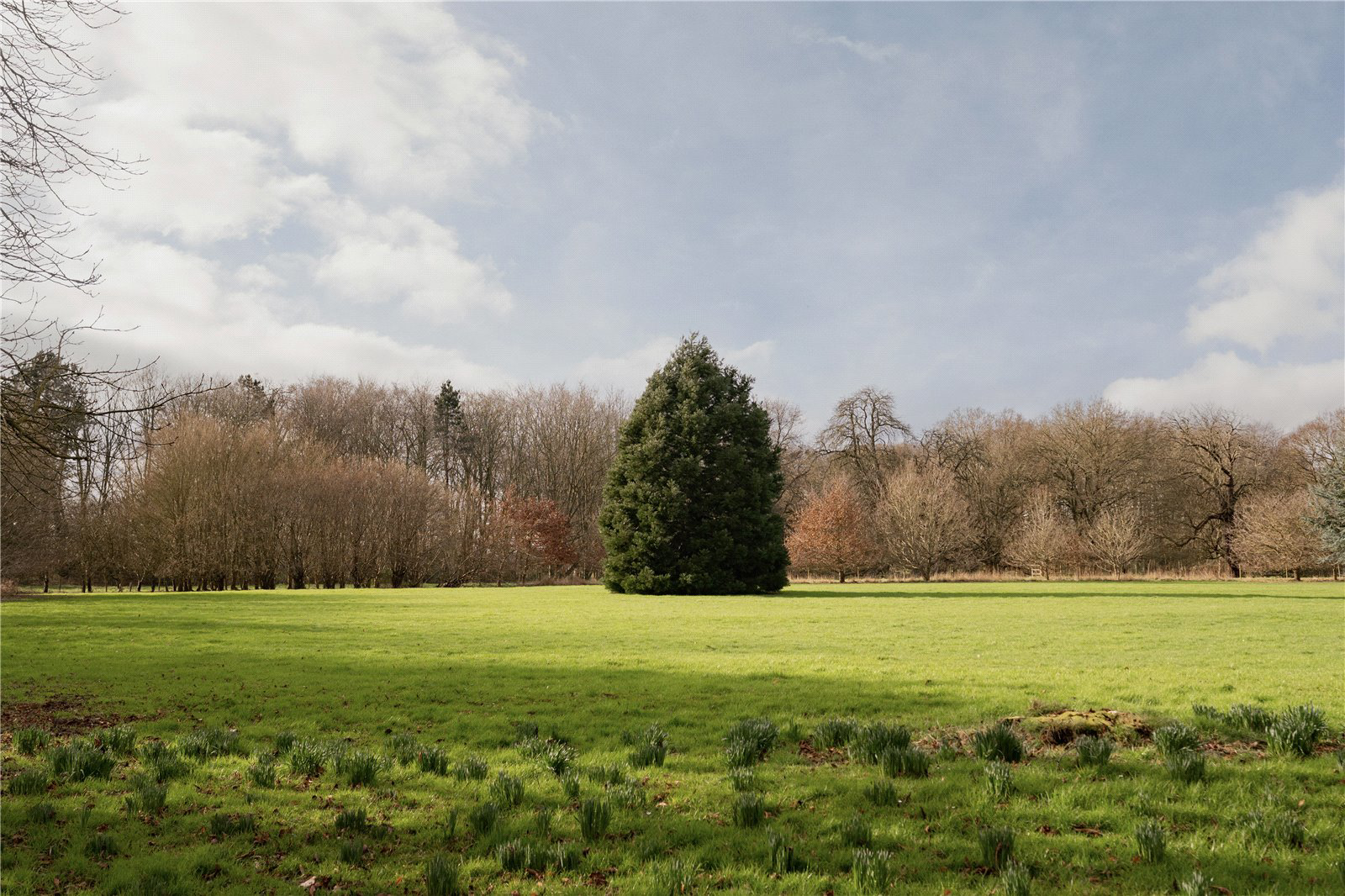 Church Road, Booton, Norfolk, NR10, photo 29