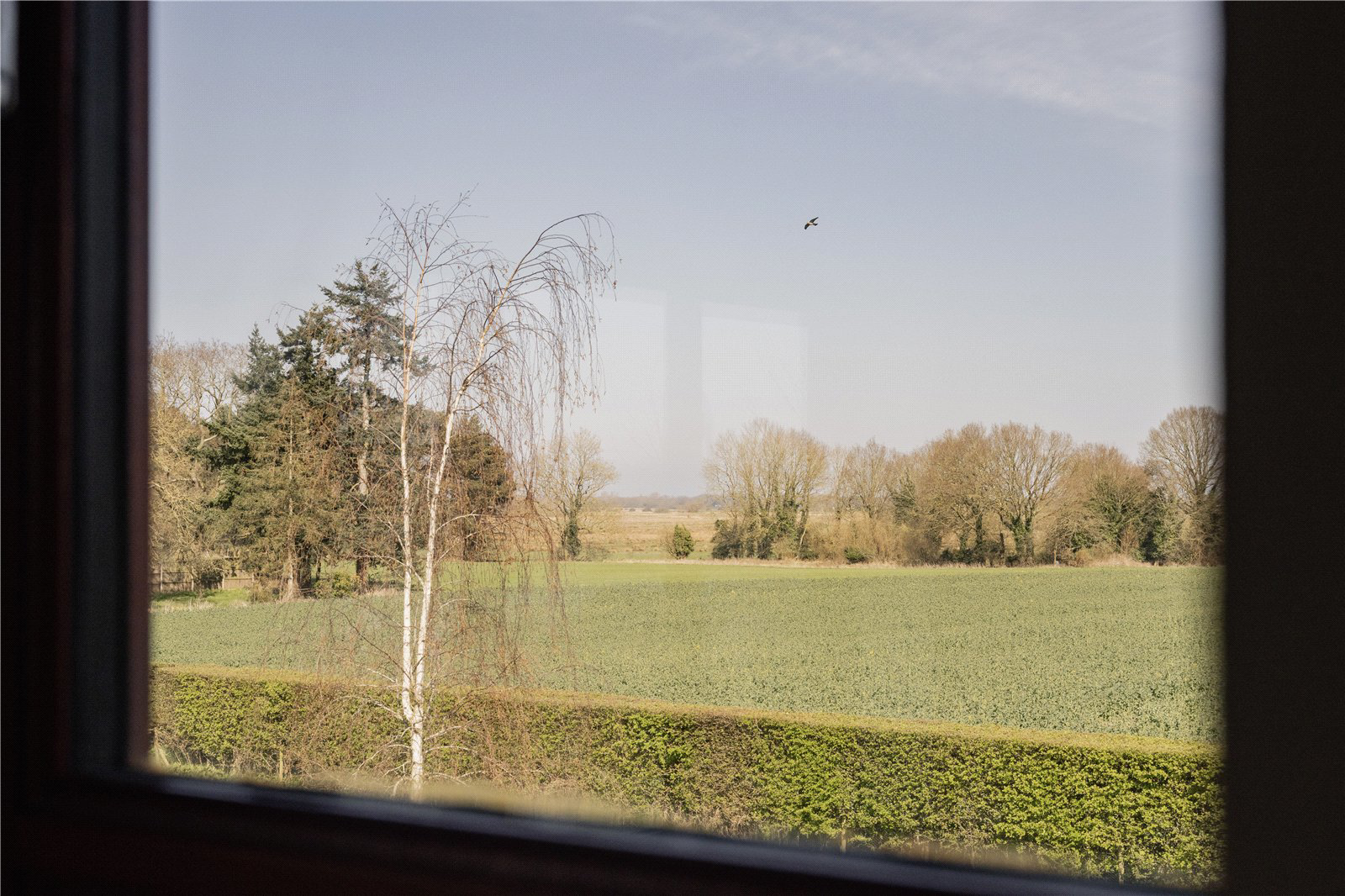 Fleet Lane, South Walsham, Norfolk, NR13, photo 40