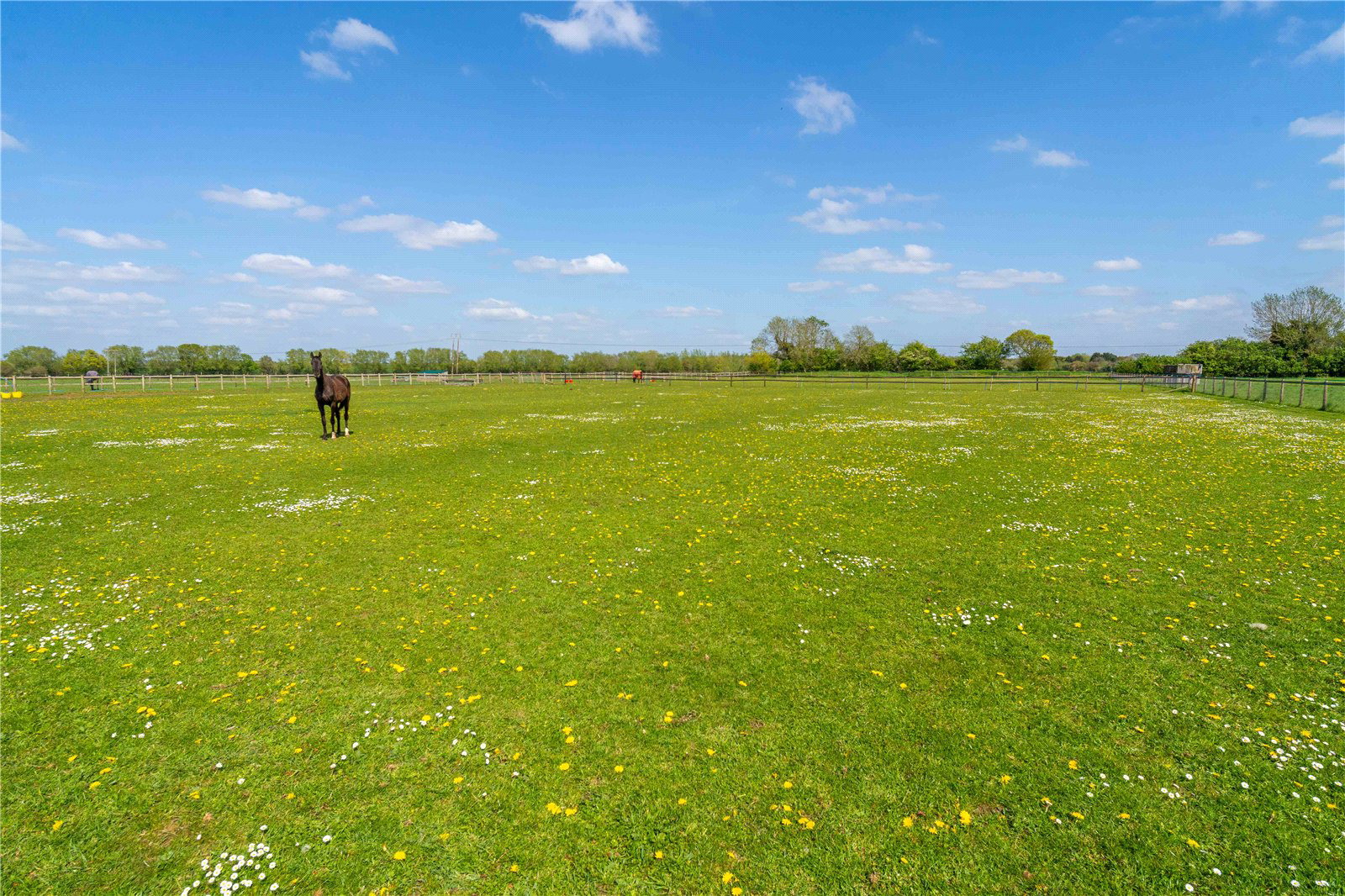 Bretforton Road, Badsey, Evesham, Worcestershire, WR11, photo 12