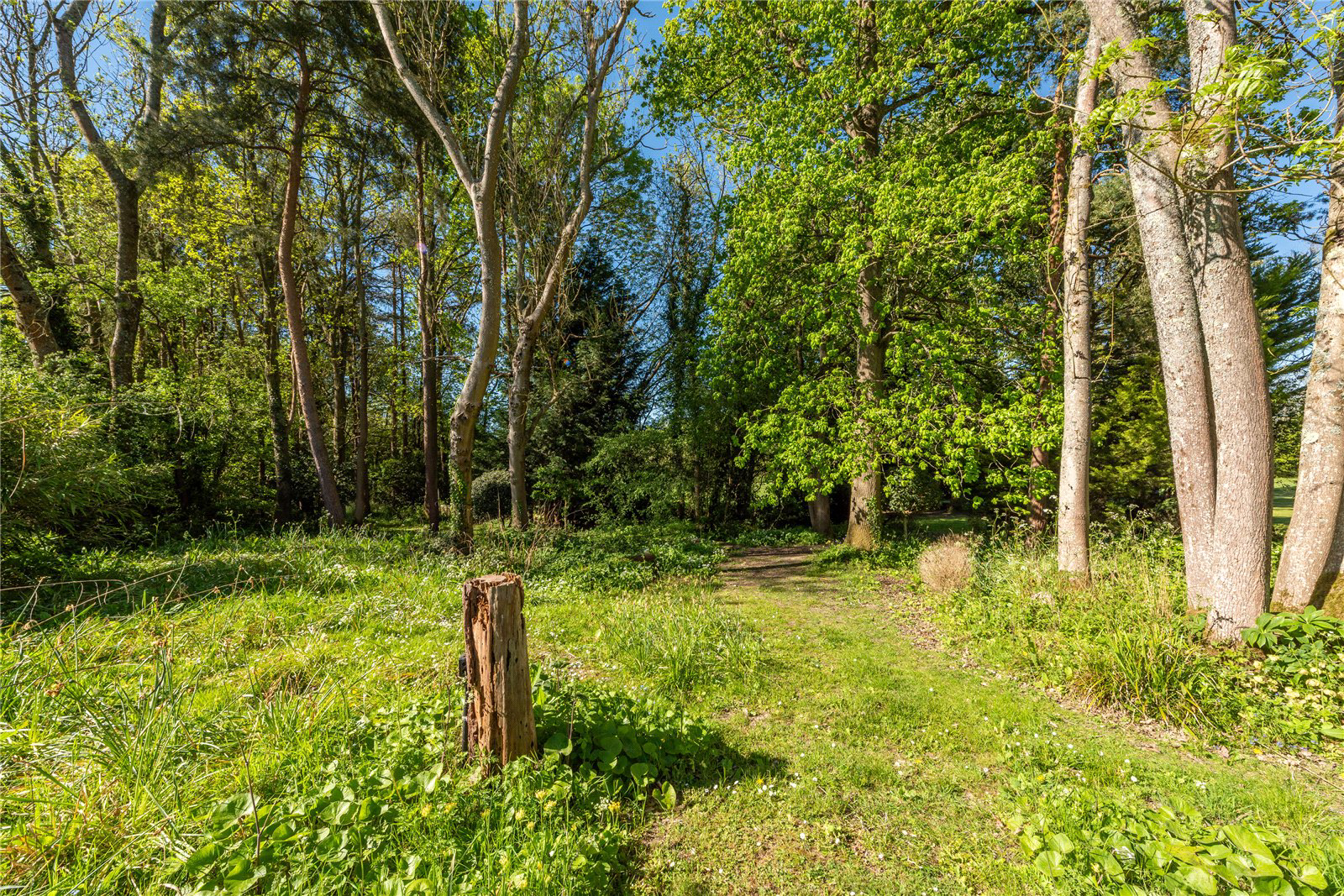 Home Farm, Coldharbour Lane, Dorking, Surrey, RH4, photo 24