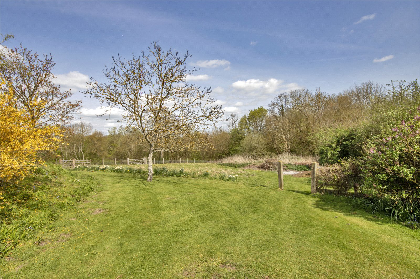 Tenterden Road, Rolvenden, Cranbrook, Kent, TN17, photo 23