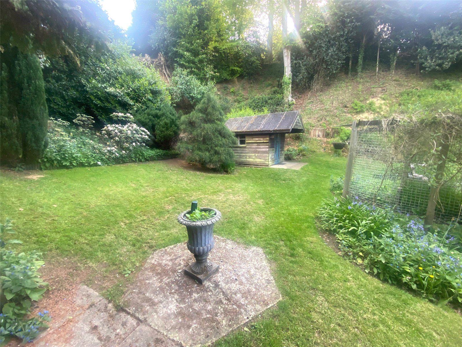 Photo 17