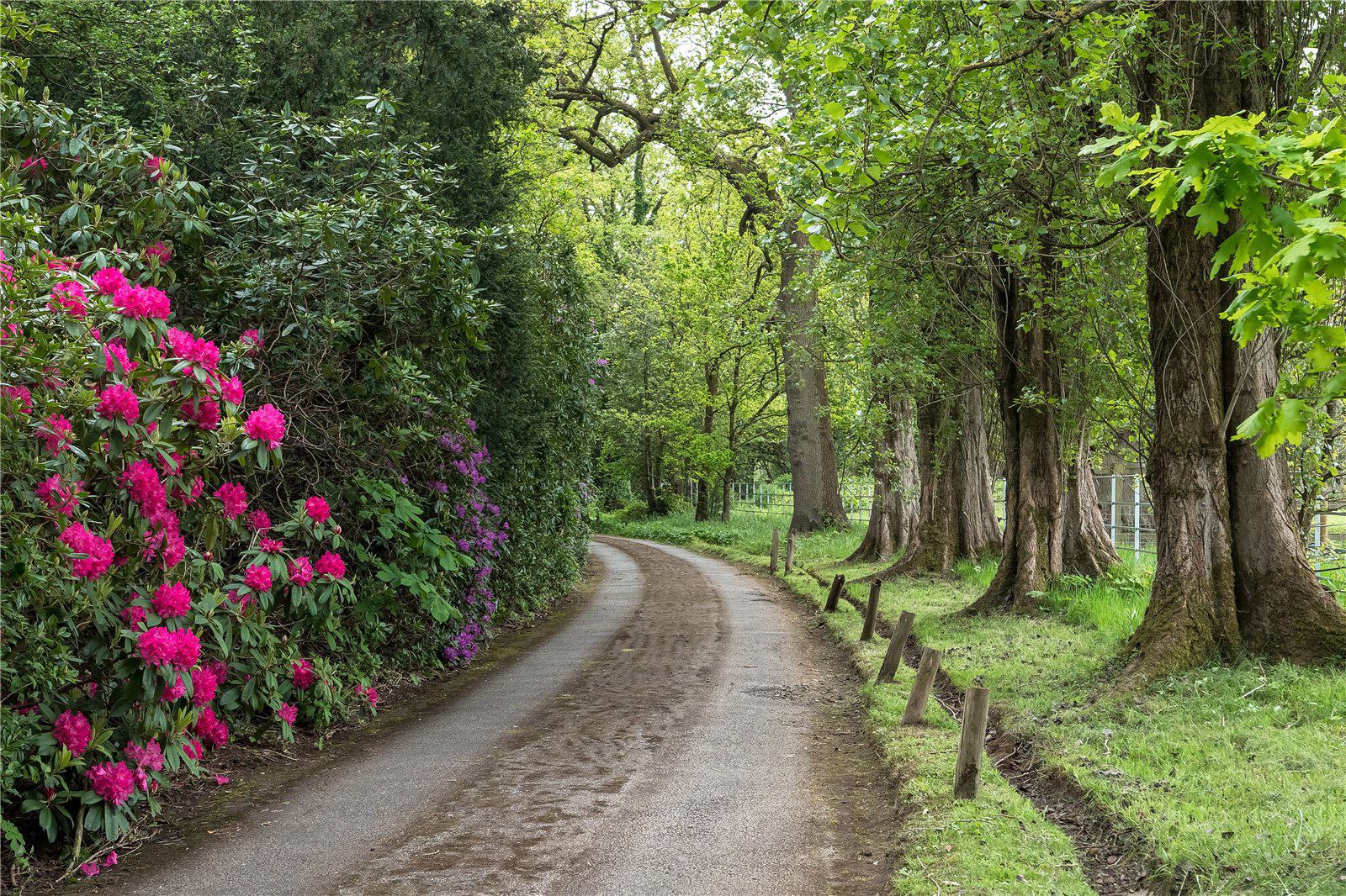 Altrincham Road, Styal, Wilmslow, Cheshire, SK9, photo 3