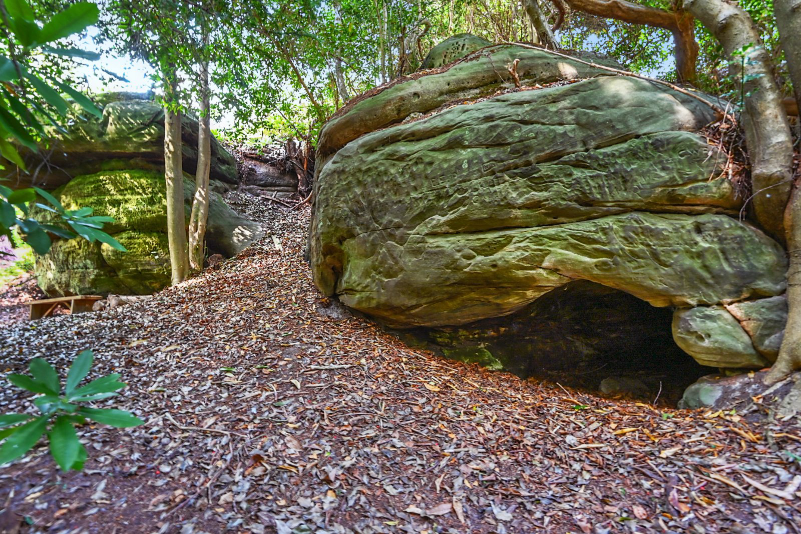 Coopers Green Road, Uckfield, East Sussex, TN22, photo 21