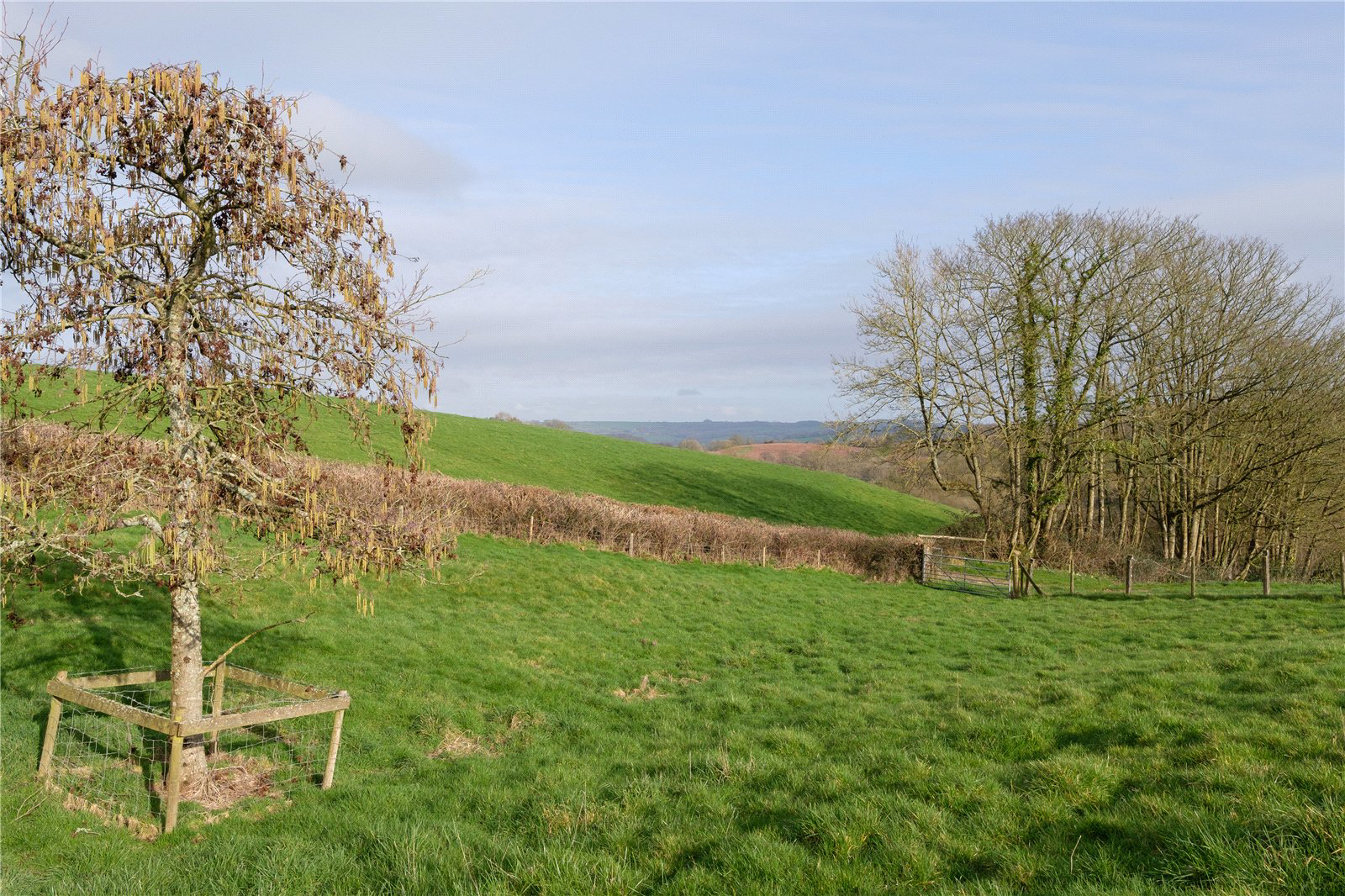 Stoke Abbott, Beaminster, Dorset, DT8, photo 33