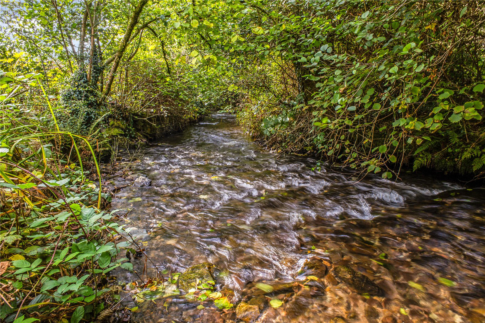 Muddiford, Barnstaple, Devon, EX31, photo 19