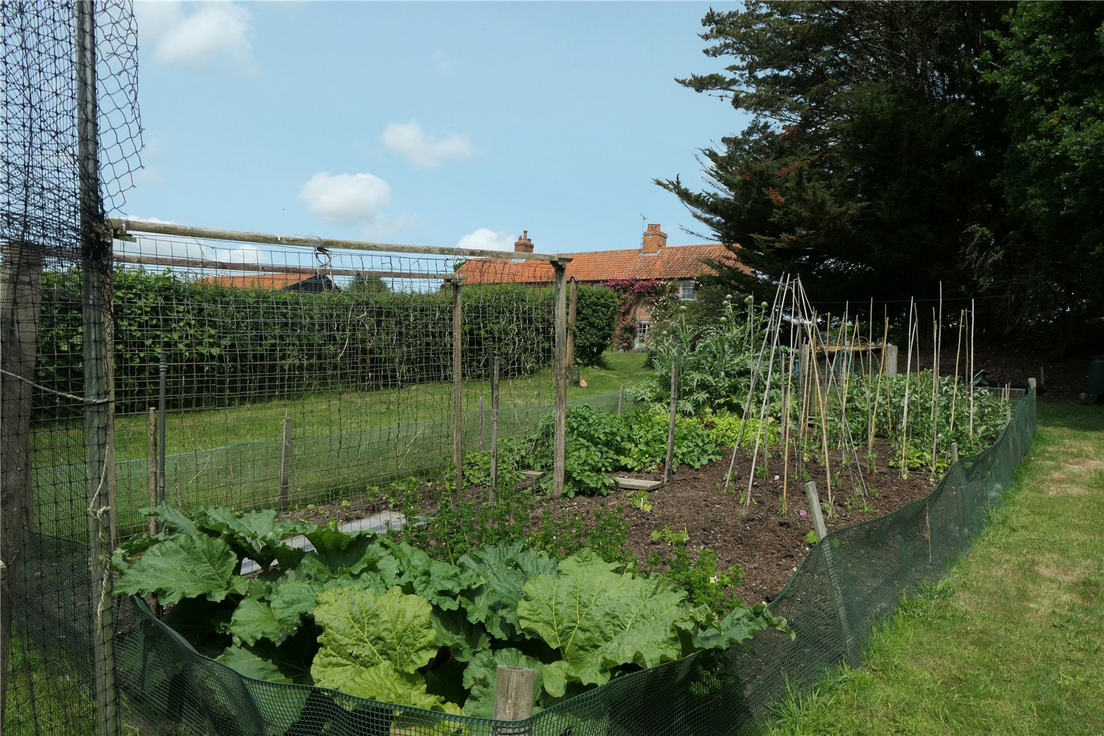 Photo 25