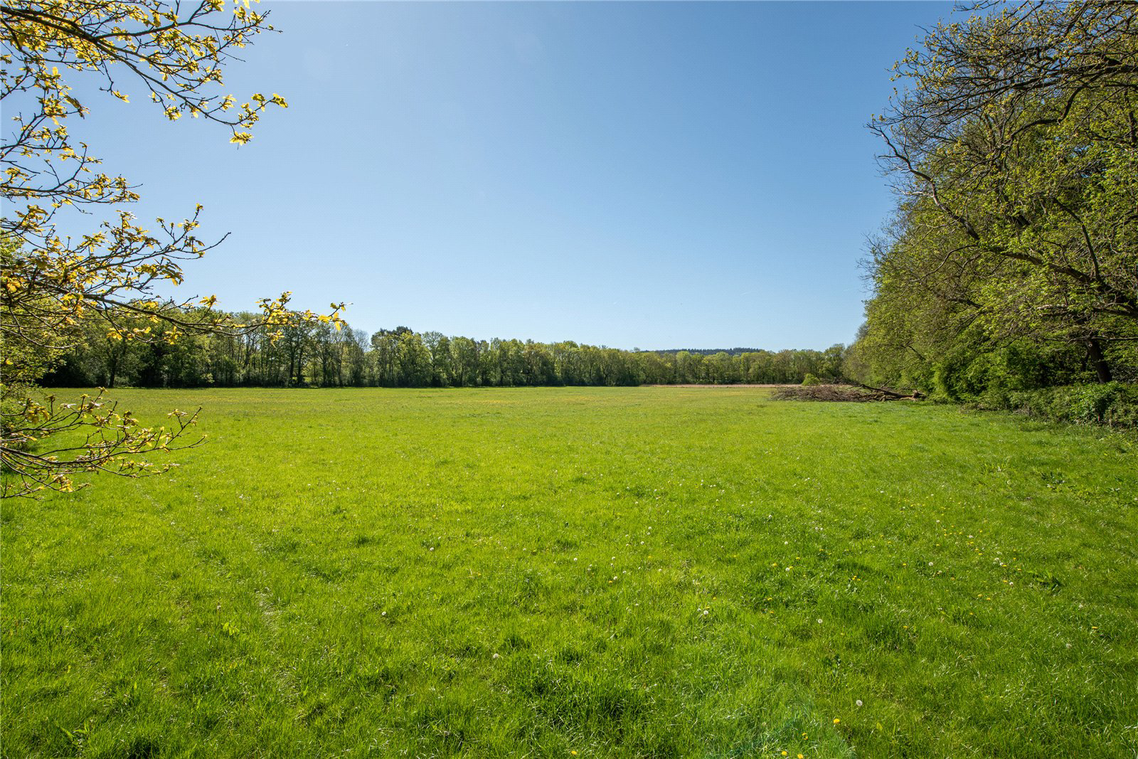Home Farm, Coldharbour Lane, Dorking, Surrey, RH4, photo 34