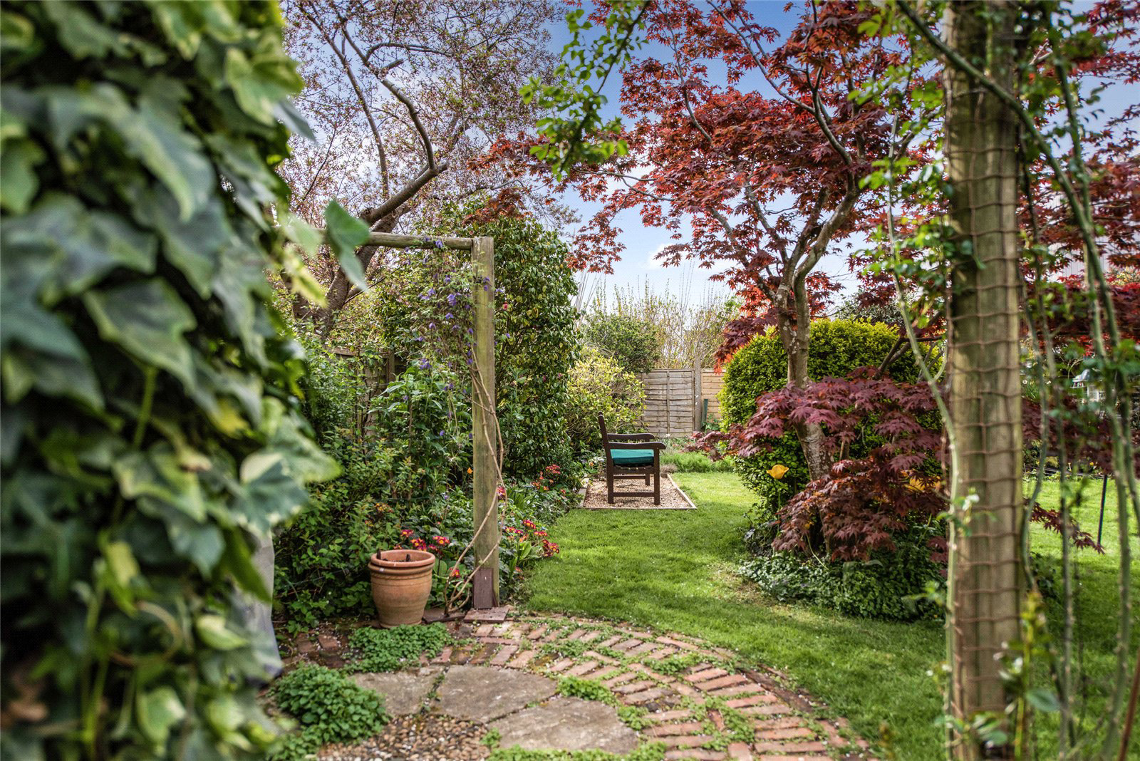 The Garden