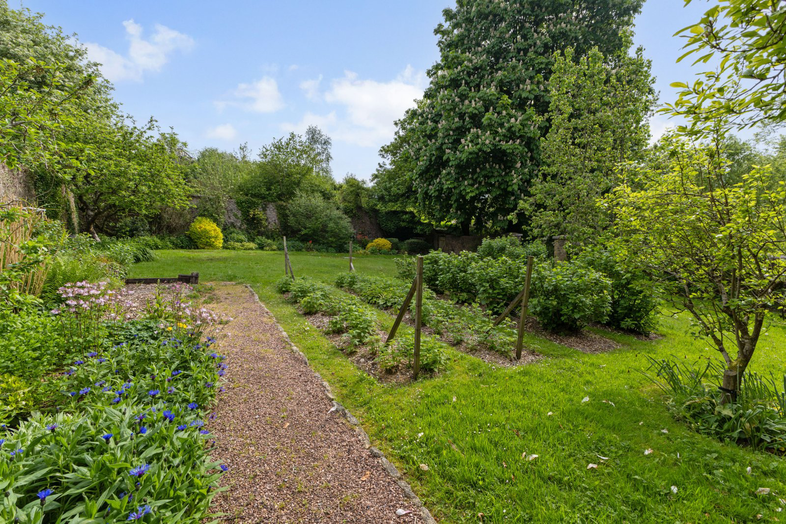 Bridford, Exeter, Devon, EX6, photo 15