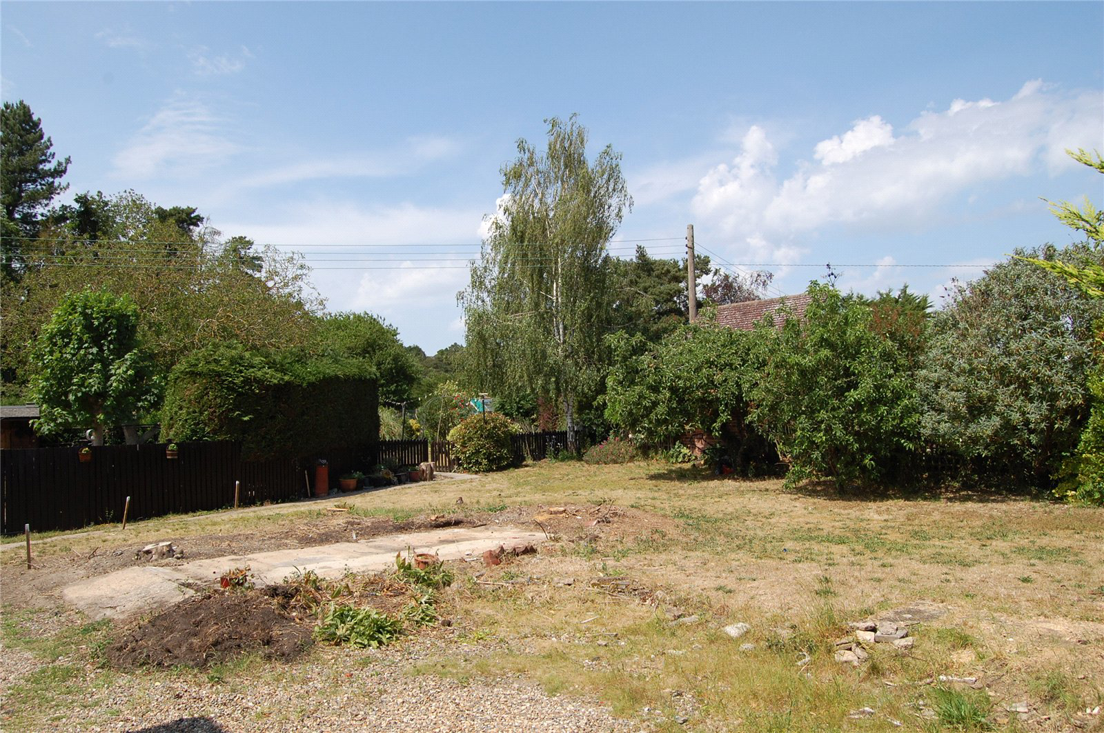 Photo 22