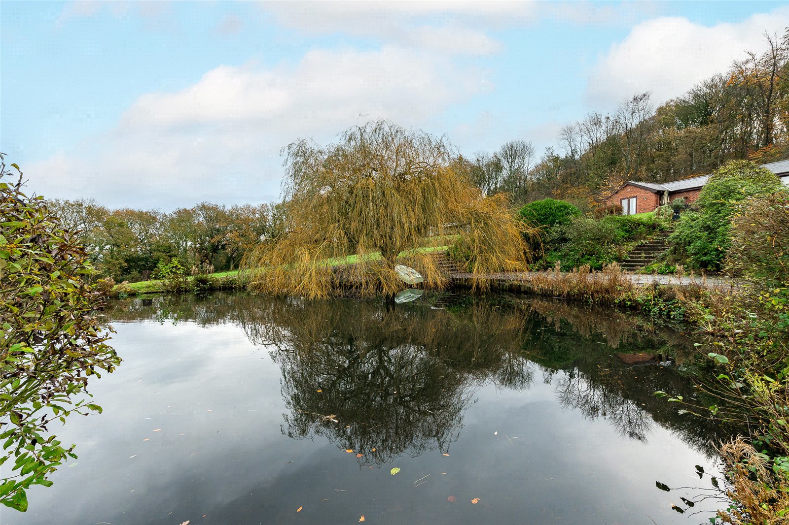 Pond