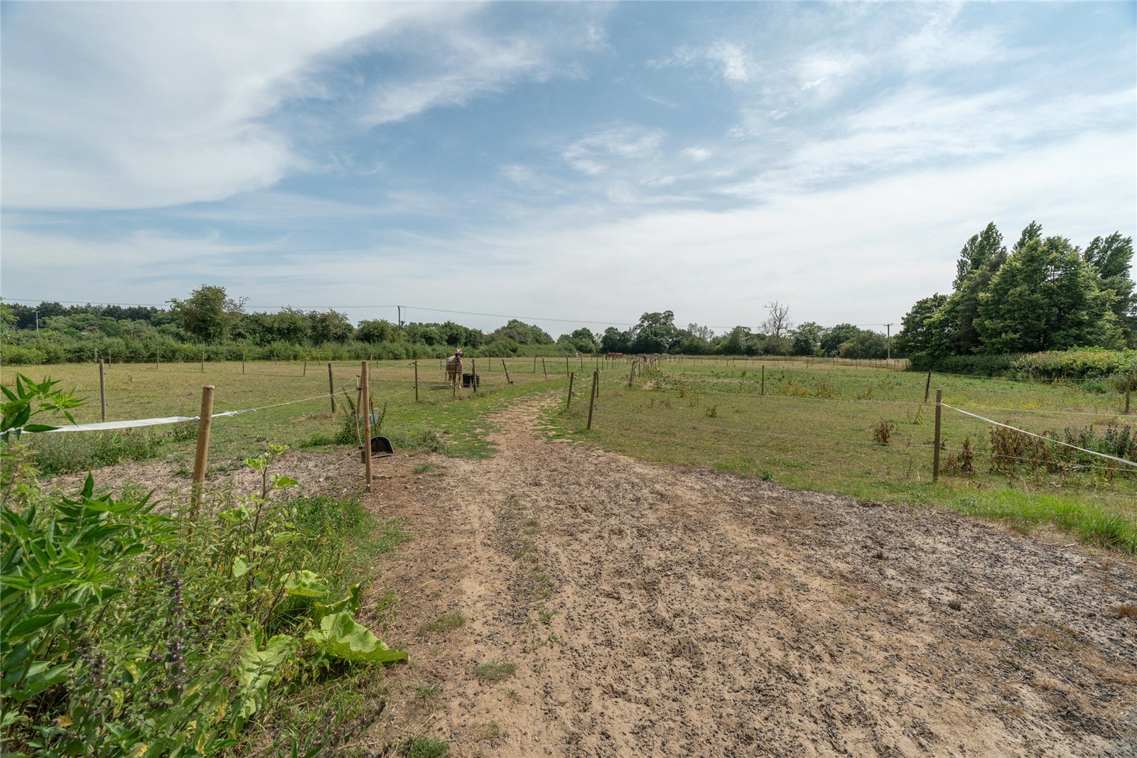 Copdock, Ipswich, Suffolk, IP8, photo 3