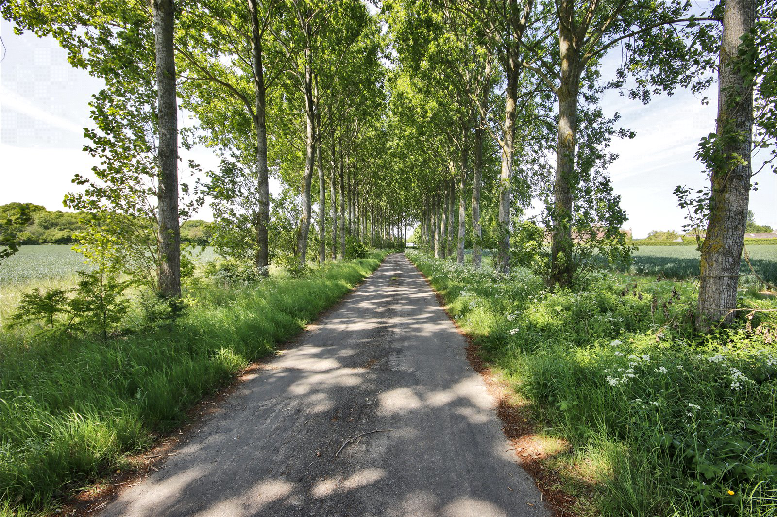 Buckland Lane, Near Staple, Canterbury, Kent, CT3, photo 20