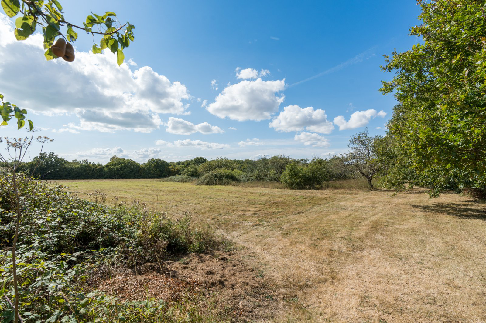 Little Ditches, London Road, Little Clacton, Essex, CO16, photo 32
