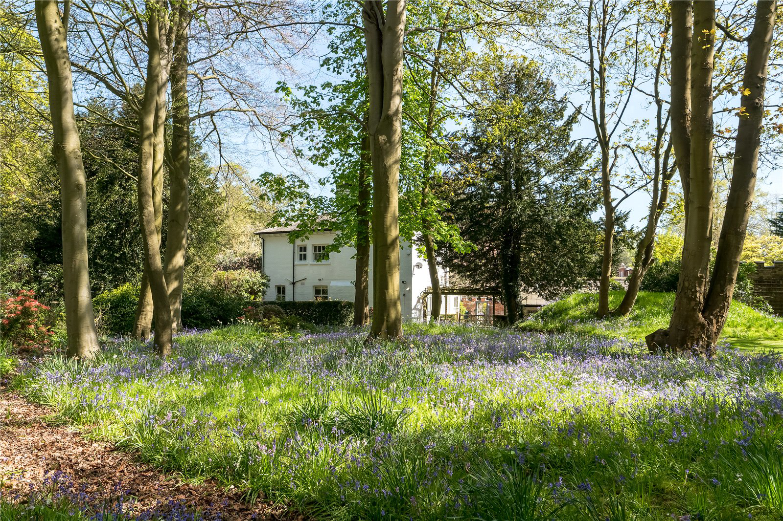 Chelford Road, Knutsford, Cheshire, WA16, photo 26