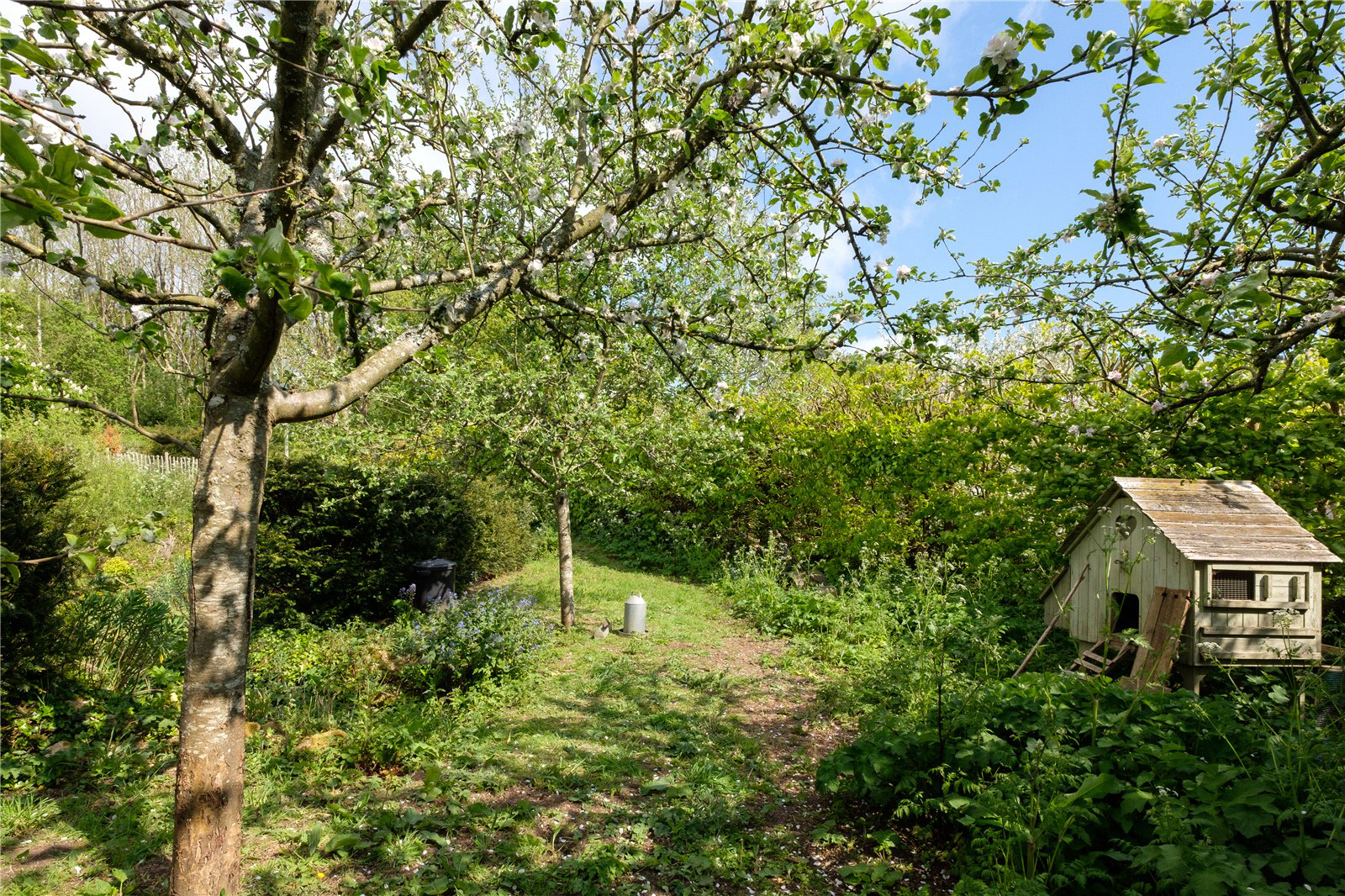 Powerstock, Bridport, Dorset, DT6, photo 56