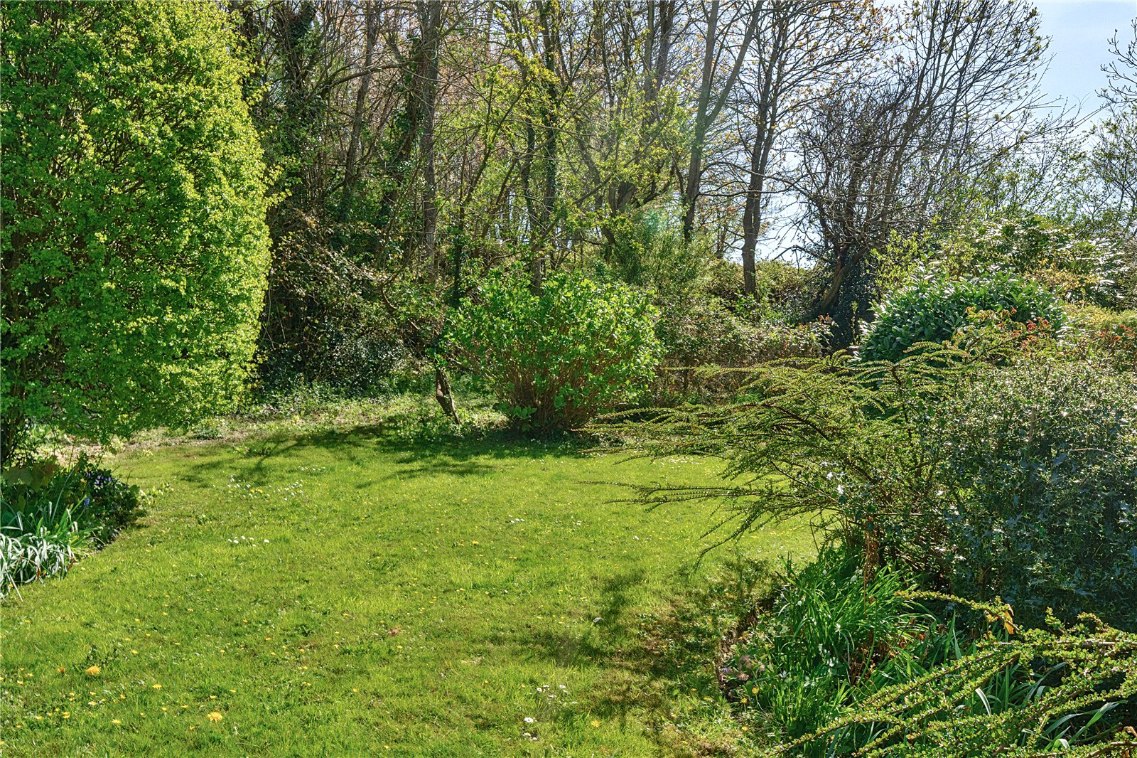 Seahill Lane, Chideock, Bridport, Dorset, DT6, photo 9