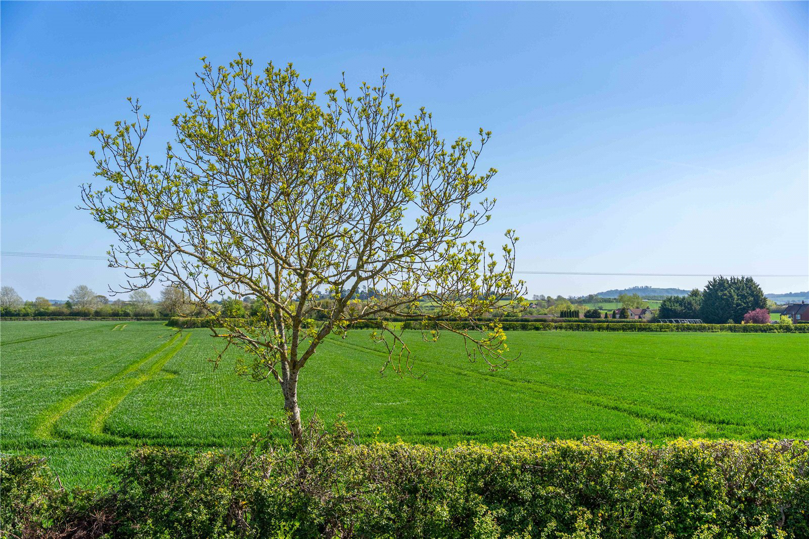 Countryside Views