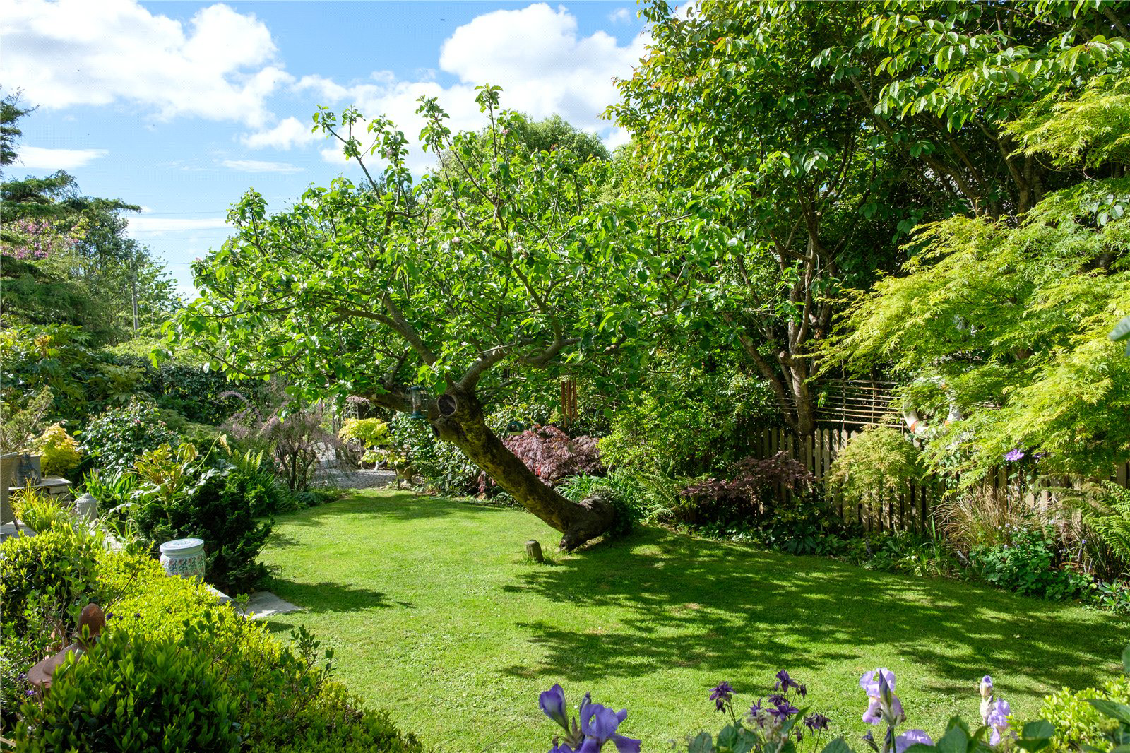 Eype, Bridport, Dorset, DT6, photo 7