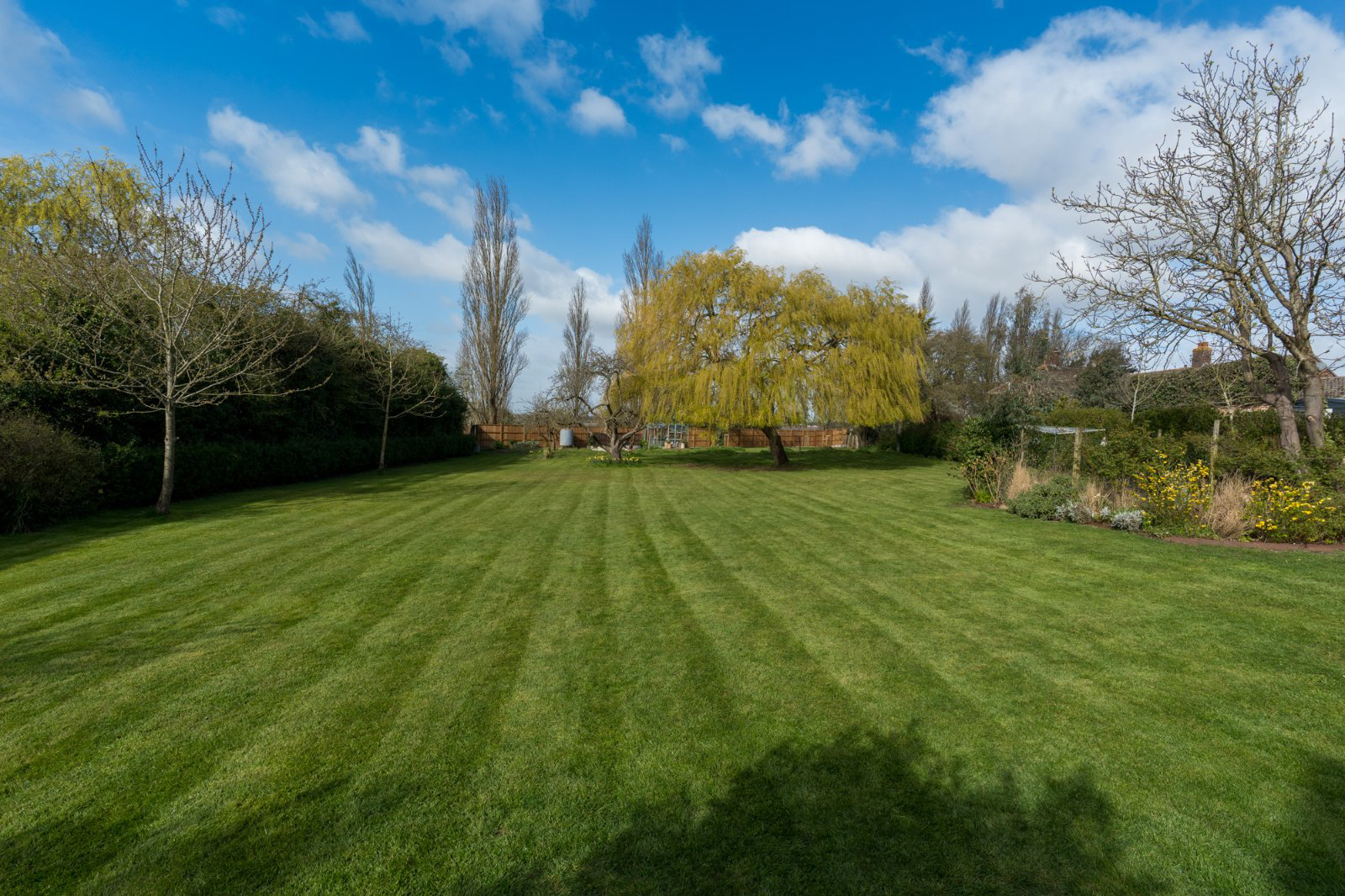 The Street, Weeley, Clacton, Essex, CO16, photo 4