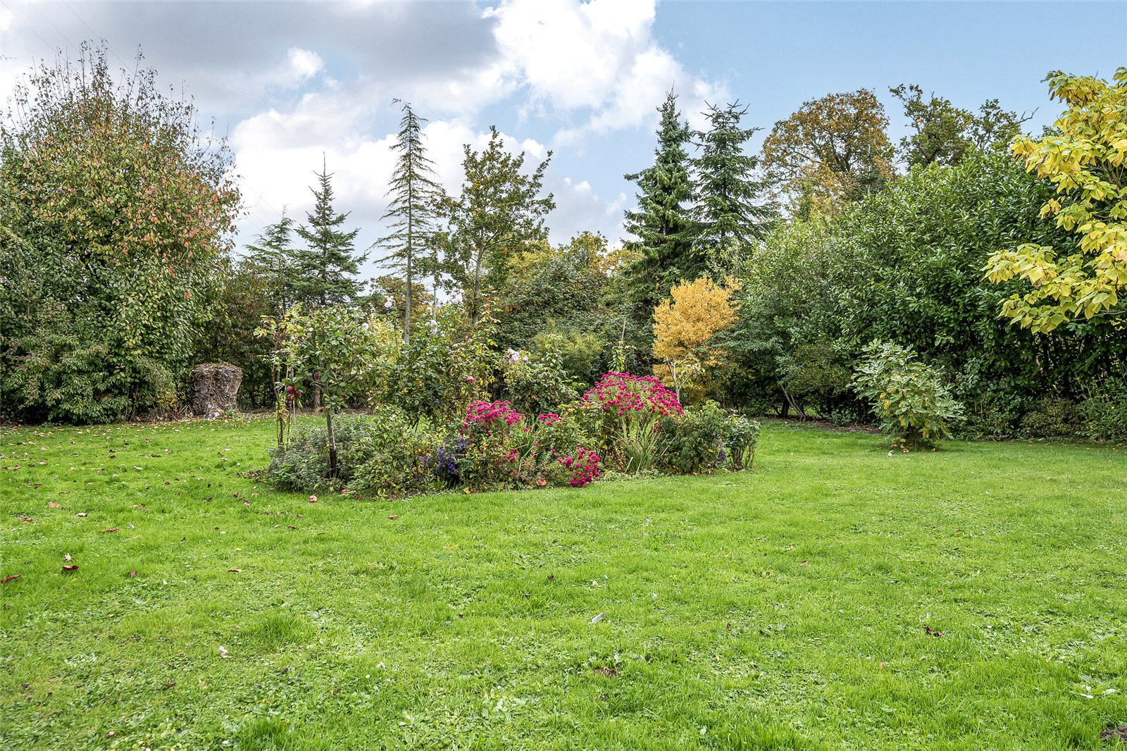 Hall Lane, Rushall, Diss, Norfolk, IP21, photo 18