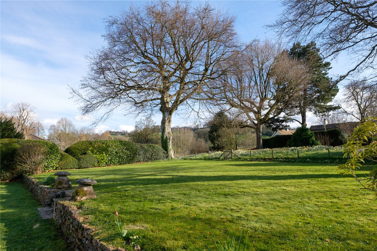 Whitcombe Road, Beaminster, Dorset, DT8, photo 26
