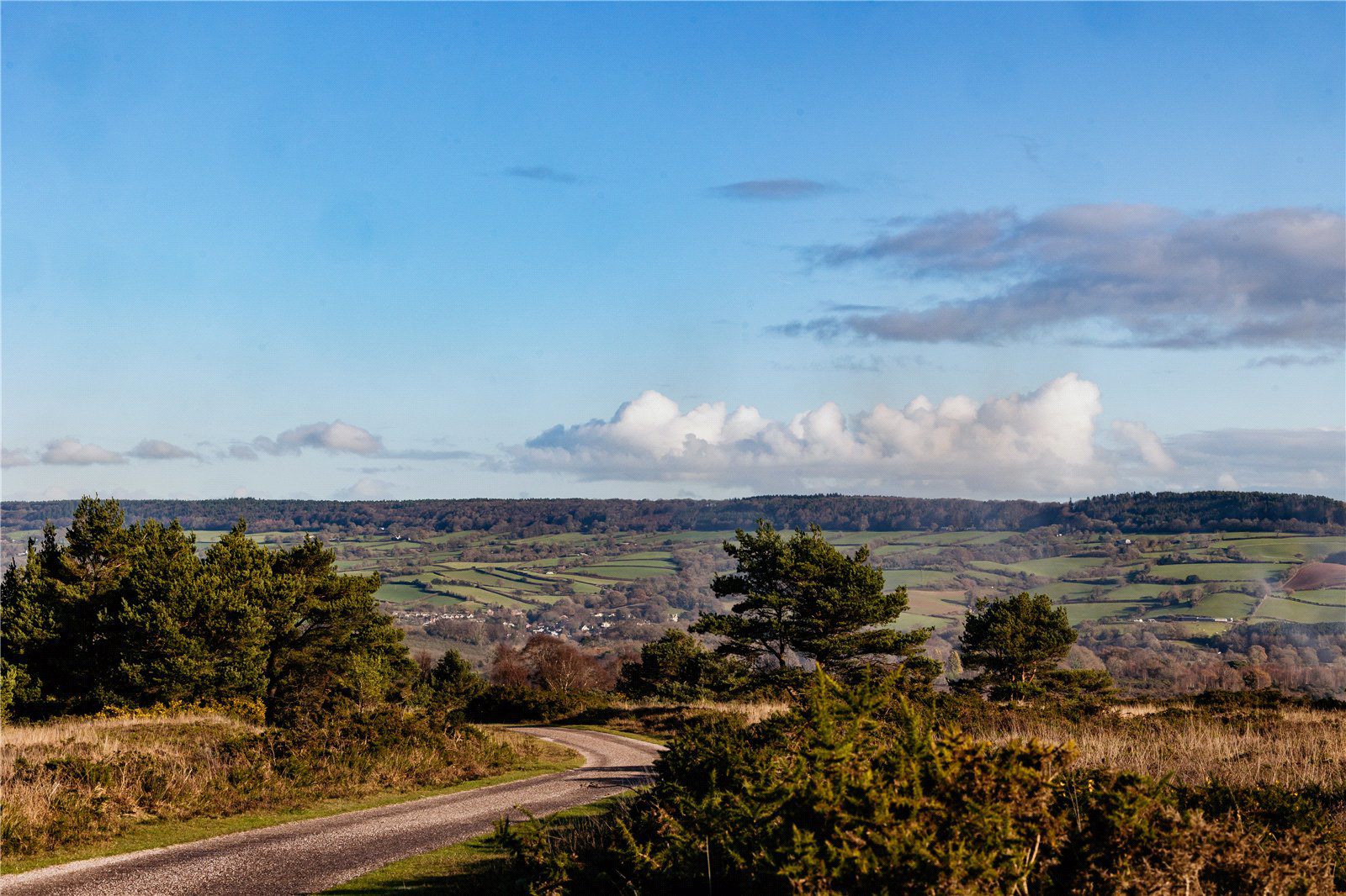 Waterleat Gardens, Newton Poppleford, Sidmouth, Devon, EX10, photo 6
