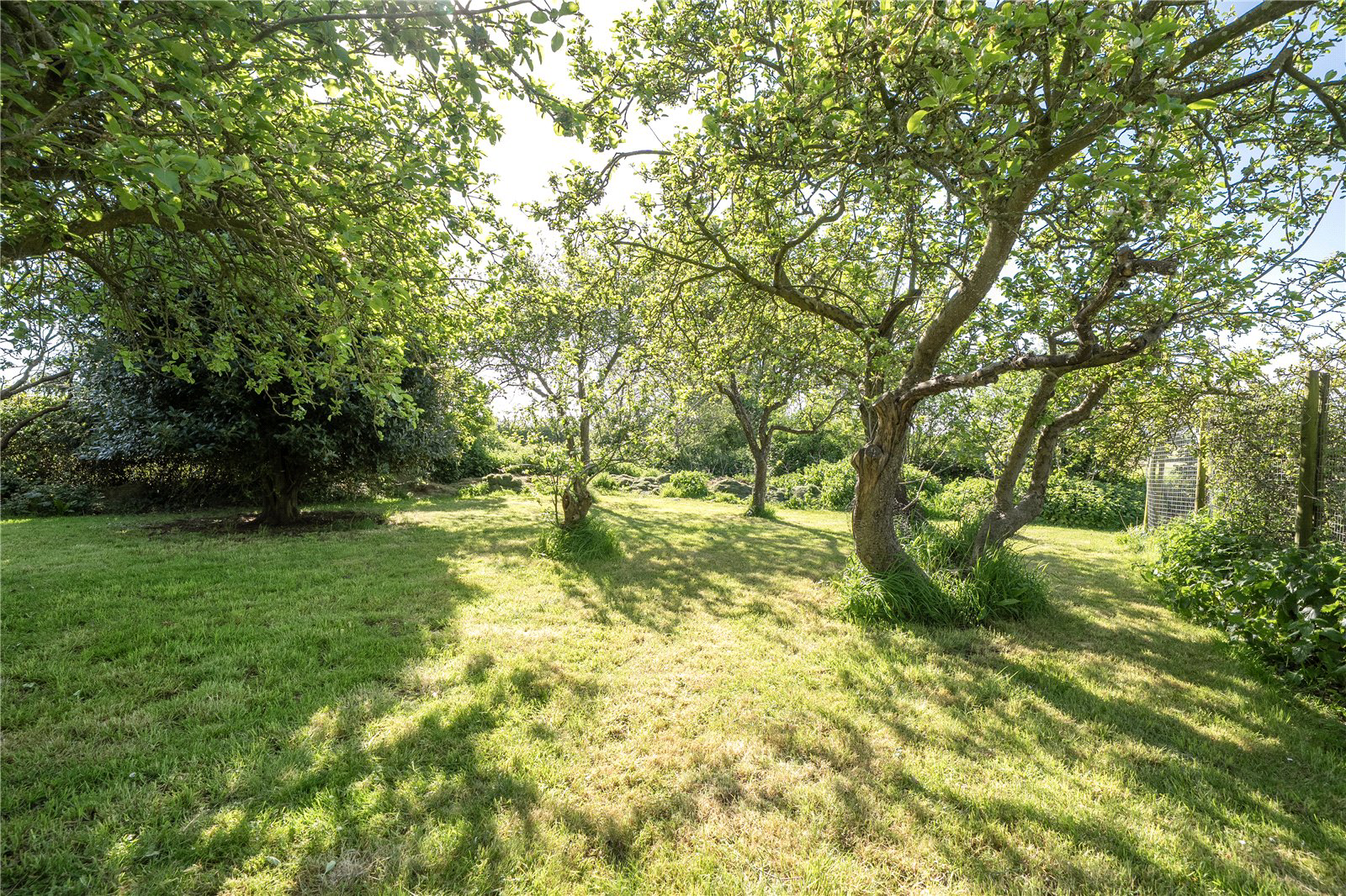 Stolford, Stogursey, Bridgwater, Somerset, TA5, photo 21