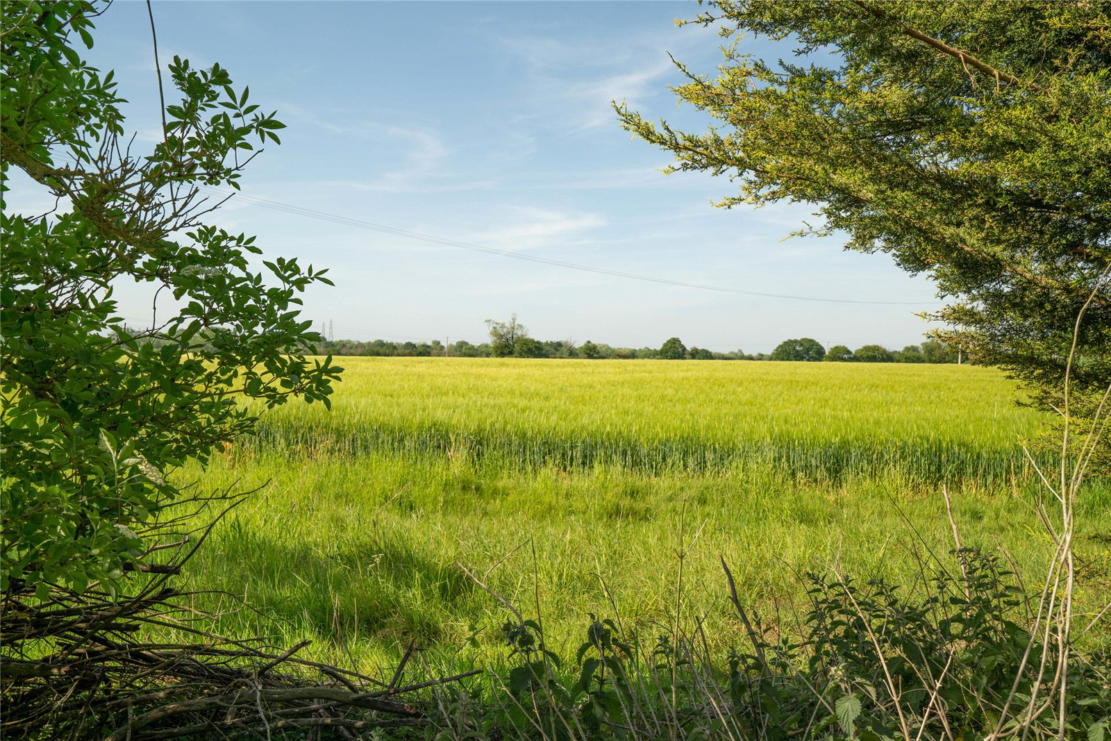 Westerfield, Ipswich, Suffolk, IP6, photo 15