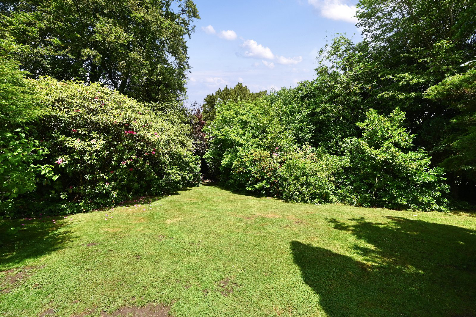The Street, Fairwarp, Ashdown Forest, East Sussex, TN22, photo 7
