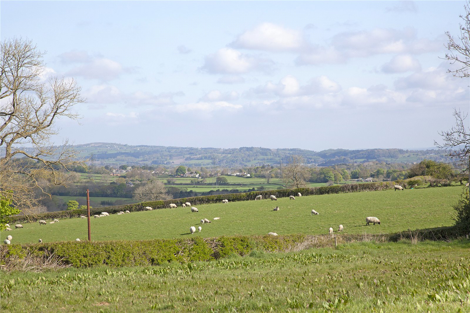 Treuddyn, Mold, Flintshire, CH7, photo 29
