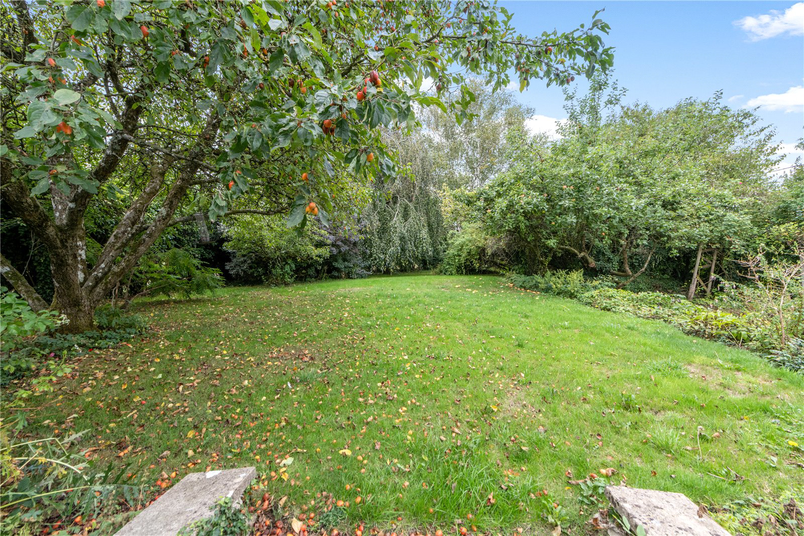 Buckhorn Weston, Gillingham, Dorset, SP8, photo 2