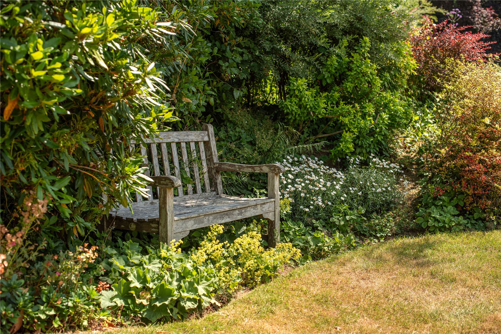 Ladyegate Road, Dorking, Surrey, RH5, photo 20