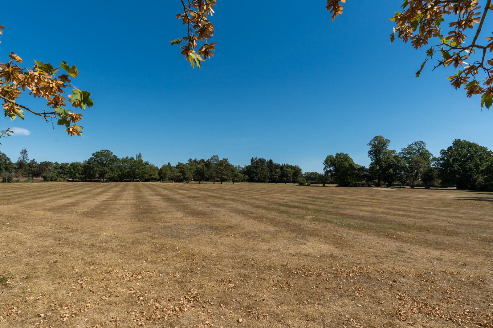 Fairways, Braiswick, Colchester, Essex, CO4, photo 28