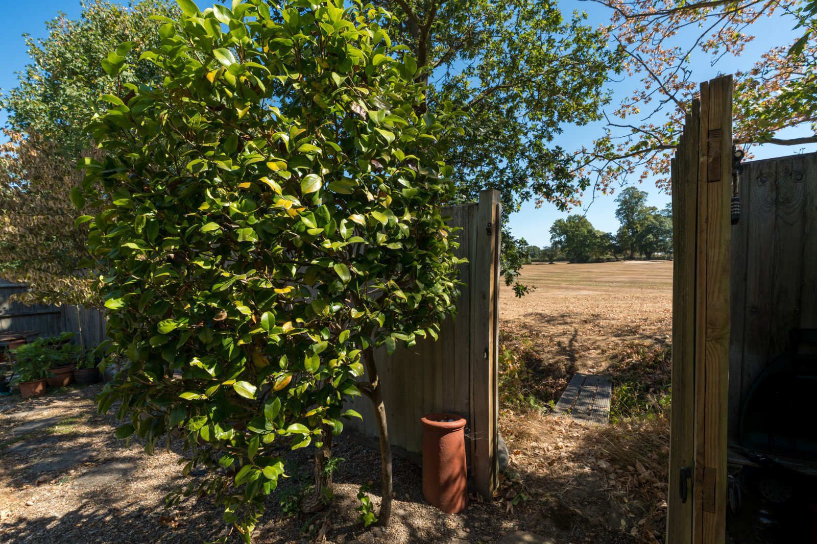 Fairways, Braiswick, Colchester, Essex, CO4, photo 26