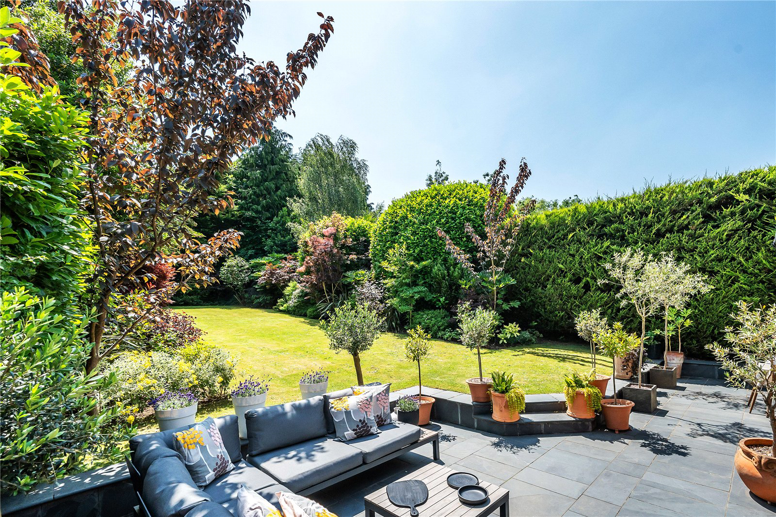 Garden