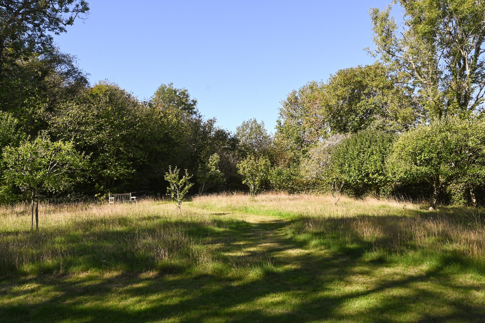 Ketches Lane, Sheffield Park, Uckfield, East Sussex, TN22, photo 22