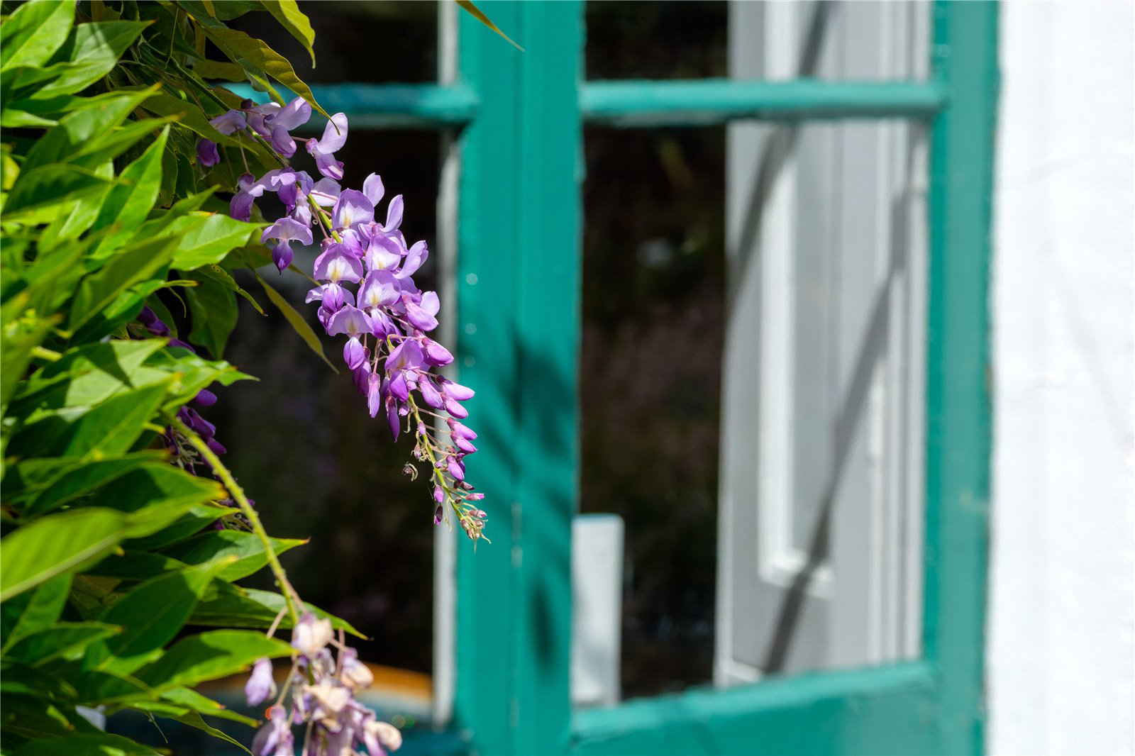 St. Andrews Road, Bridport, Dorset, DT6, photo 51
