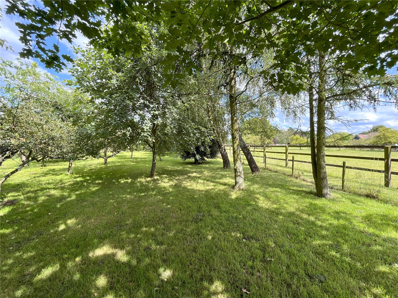 Barrow Road, Denham, Bury St Edmunds, Suffolk, IP29, photo 23