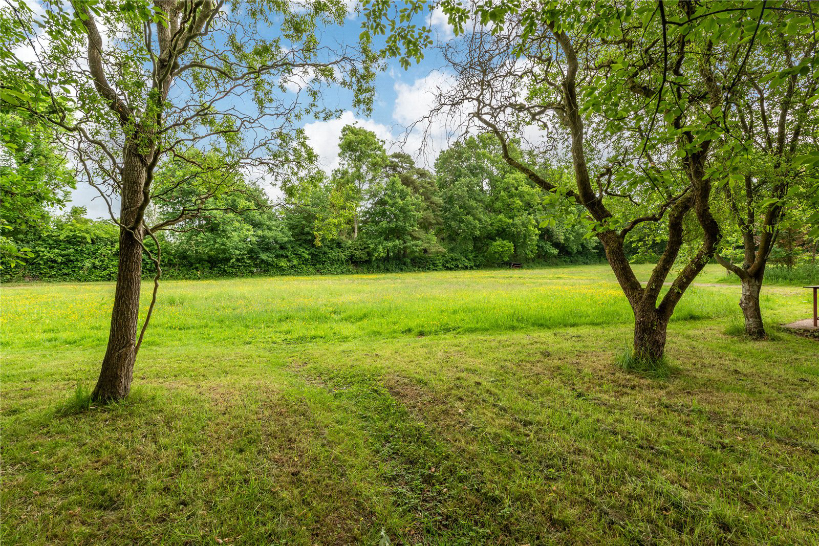 Wheelers Lane, Brockham, Betchworth, Surrey, RH3, photo 19