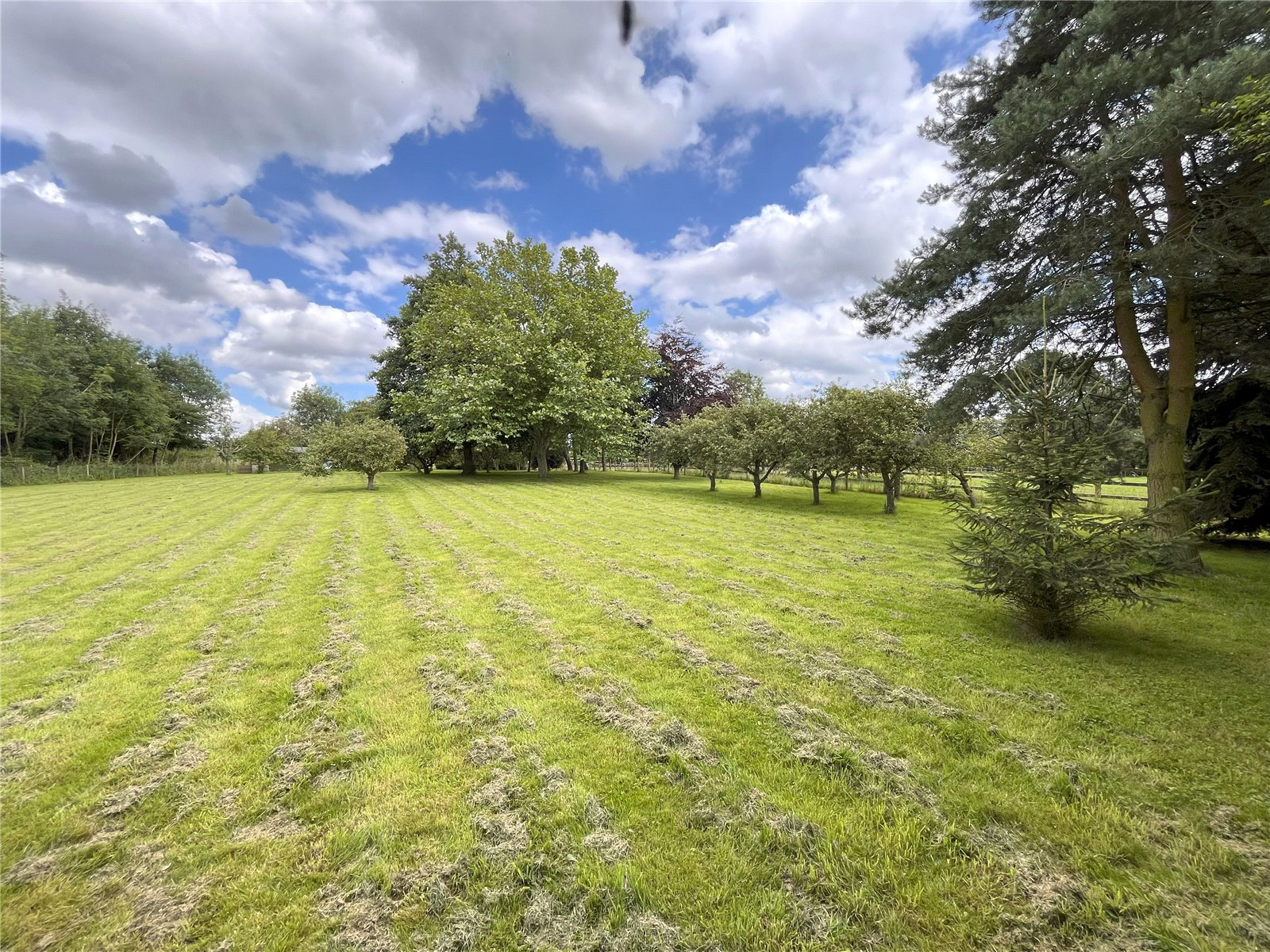 Barrow Road, Denham, Bury St Edmunds, Suffolk, IP29, photo 11