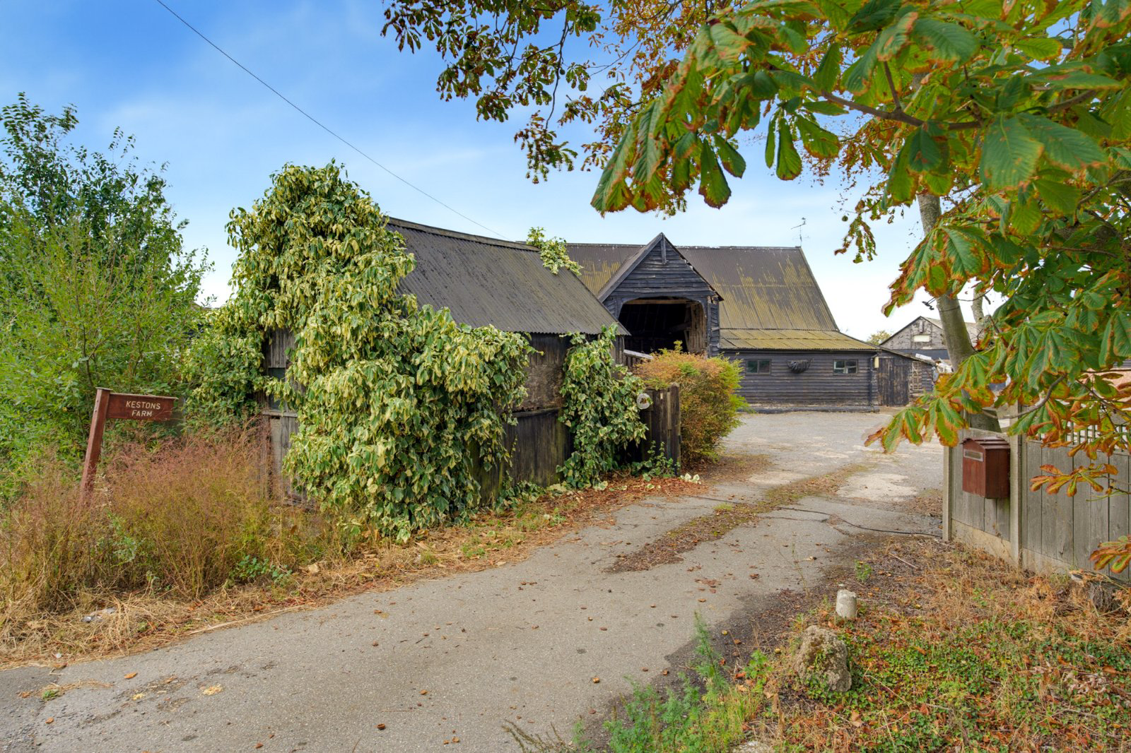Photo 20