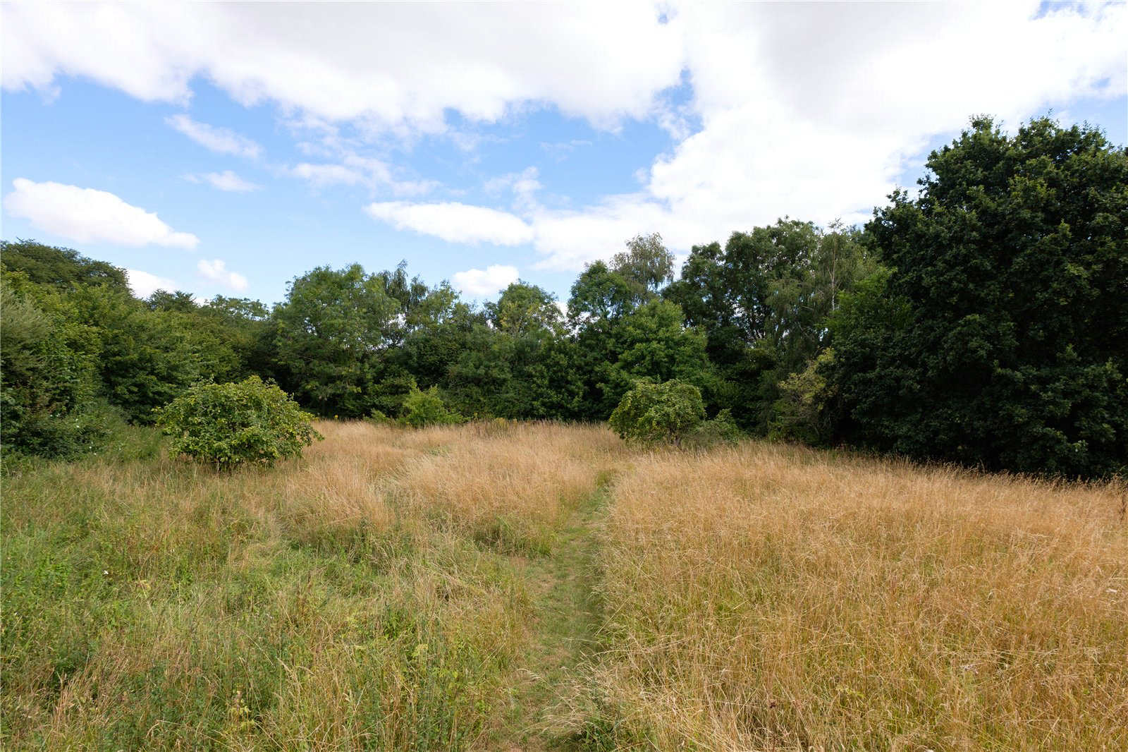 Over Stratton, South Petherton, Somerset, TA13, photo 24