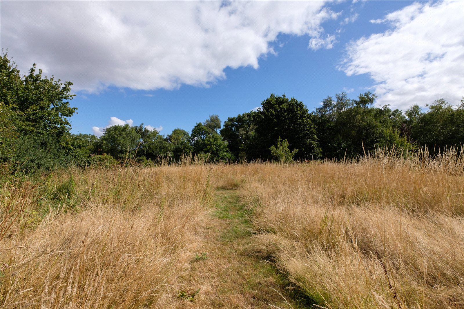 Over Stratton, South Petherton, Somerset, TA13, photo 21