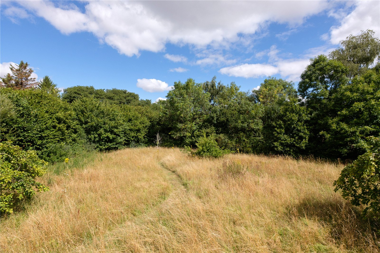 Over Stratton, South Petherton, Somerset, TA13, photo 28
